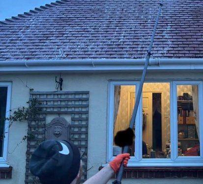 roof cleaning